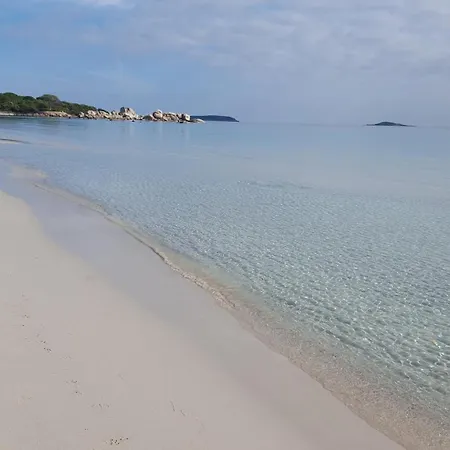 Nocleg ze śniadaniem Locations Rocca Rossa Palombaggia Classees 3 Etoiles