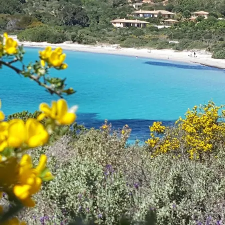 Locations Rocca Rossa Palombaggia Classees 3 Etoiles *