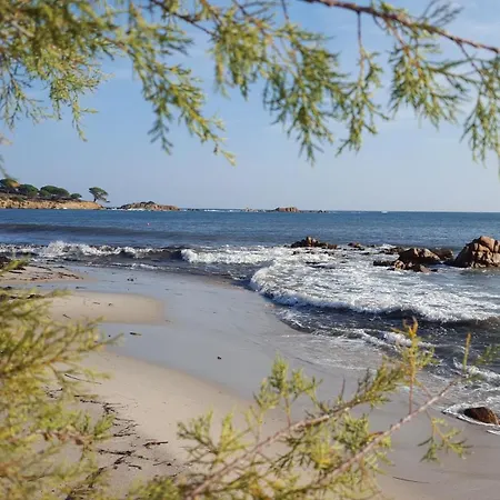 Locations Rocca Rossa Palombaggia Classees 3 Etoiles Porto-Vecchio (Corsica)