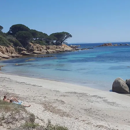 Locations Rocca Rossa Palombaggia Classees 3 Etoiles