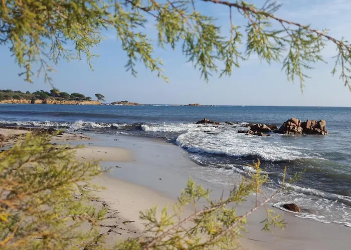 Locations Rocca Rossa Palombaggia Classees 3 Etoiles Porto-Vecchio (Corsica)