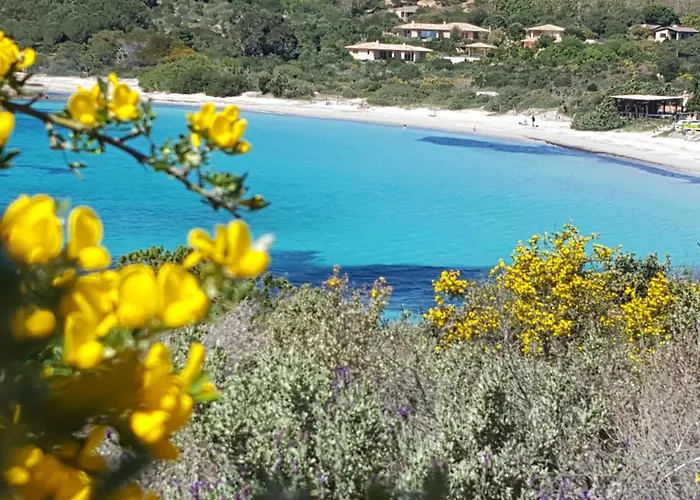 Locations Rocca Rossa Palombaggia Classees 3 Etoiles 4*